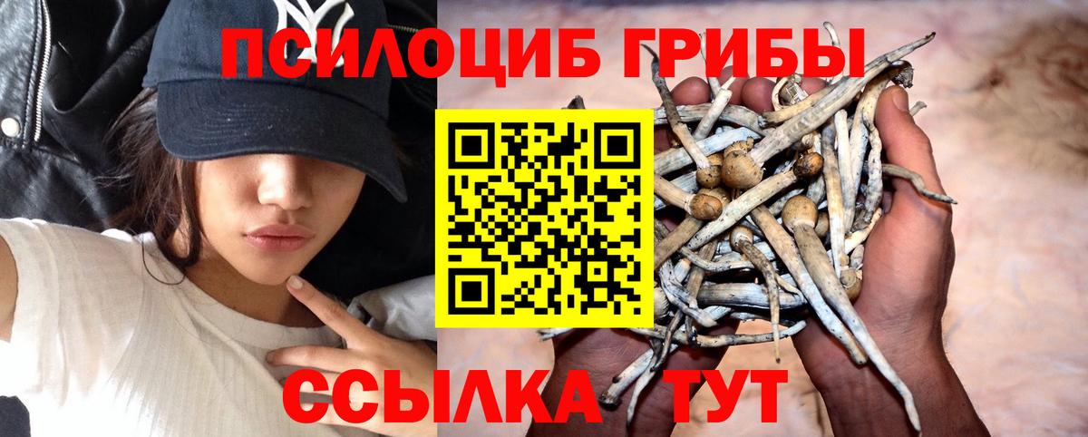 Галлюциногенные грибы мицелий Михайловка